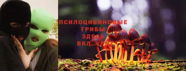 винт Баксан