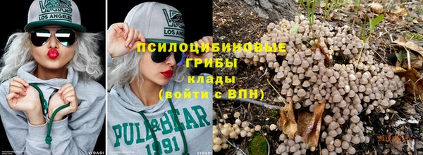 дживик Белоозёрский